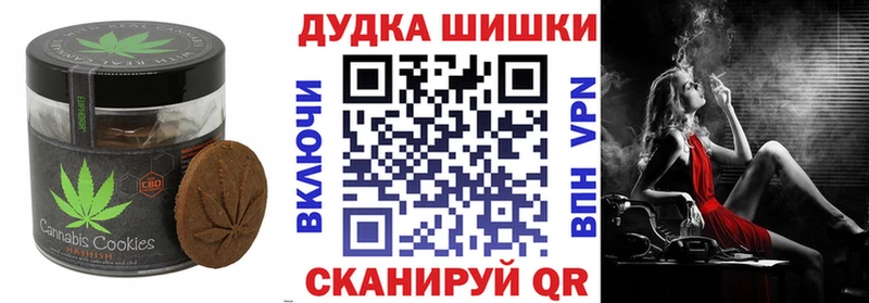 гидра маркетплейс  Новосиль  Canna-Cookies конопля  купить наркотик 
