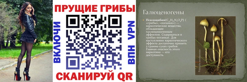 наркошоп  Новосиль  blacksprut ССЫЛКА  Галлюциногенные грибы мицелий 